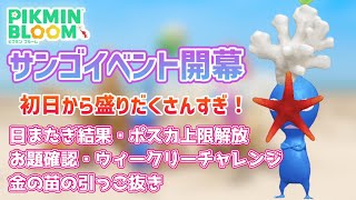 サンゴイベントがついにスタート！日またぎキノコの結果に驚愕\u0026初日からイベント盛りだくさんすぎ！‥【#ピクミンブルーム / #PikminBloom 】