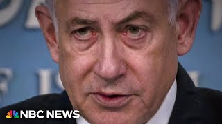 International Criminal Court seeks arrest of Israel's Netanyahu and Hamas leader