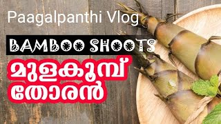 മുള കൂമ്പ് തോരൻ കഴിച്ചിട്ടുണ്ടോ|Bamboo Shoot Receipe।Mulakoomb thoran। Paagalpanthi Vlog