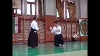 Arai Toshiyuki shihan Aikido embu 2001  MKDE Summer Camp