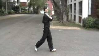 yi lu mai fu quan (slow-medium speed)- taipei 2008