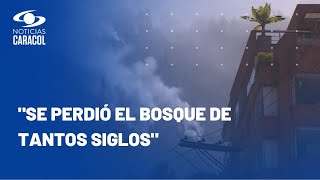 "Estamos perdiendo el pulmón de la ciudad": desolación en barrio El Paraíso por incendios en Bogotá