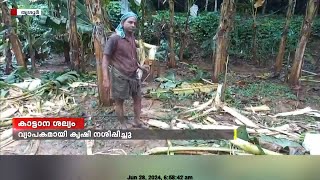 തൃശൂർ മരോട്ടിച്ചാലിൽ ജനവാസ മേഖലയിൽ ഇറങ്ങിയ കാട്ടാന വ്യാപകമായി കൃഷി നശിപ്പിച്ചു