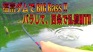 福富ダムで🎣BIG Bass‼️バラして、西条で乱獲HIT🐟‼️