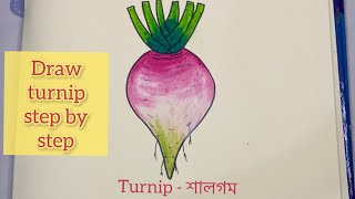 How to draw turnip step by step.  সহজ পদ্ধতিতে শালগম আঁকা।  #kids_drawing #turnip #easyart