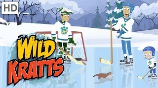Wild Kratts ❄️ An Icy Holiday Adventure 🏒 | Kids Videos