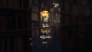 Telugu Motivational Quotes Osho #motivational #quotes #osho #telugu #inspirational #motivational