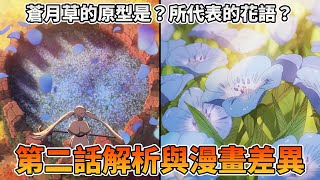 蒼月草所代表的花語？現實中的原型是？芙莉蓮第二話漫畫與動畫有哪些改動？【葬送的芙莉蓮解析】十月新番