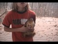 Squirrel Bites Boy