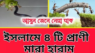 ০৪ টি প্রাণী মারা নিষেধ || ৪টি প্রাণী কি কি? || আসুন জেনে নেওয়া যাক||