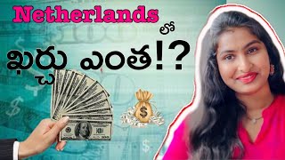 Netherlands లో ఖర్చు ఎంత!? Cost of living and expenses  in Netherlands || Europe | A2A Netherlands