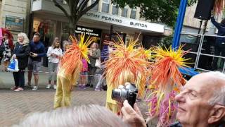 Gloucester Festival carnival 2017