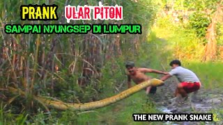 Video Lucu || Prank Ular Piton Terlaknat || Paling Lucu Auto Nyungsep 🤣🤣