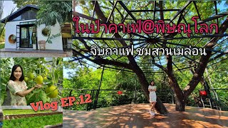 ในป่าคาเฟ่@พิษณุโลก l Vlog EP.12