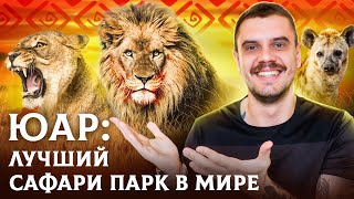 ЮАР Крюгер парк: Лучший дикий сафари парк в мире