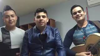 Opaco y sensible cover Valdo Garza, Mario Ayala y Adrián Navarro Trakalosa de Monterrey