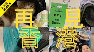 英國花家姐 Vlog 6『寵物移民』『二人一貓』 『PET IN CABIN』香港-土耳其-荷蘭-HARWICH-PET TAXI