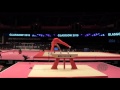 ALDYANI Ahmed (QAT) - 2015 Artistic Worlds - Qualifications Pommel Horse