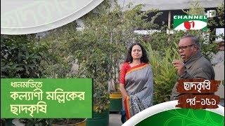 ধানমন্ডিতে কল্যাণী মল্লিকের ছাদকৃষি | পর্ব ১৫১ | Rooftop Farming | Shykh Seraj | Channel i |