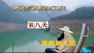 挑戰荒野垂釣270天 第8天 又中魚啦，環境優美，魚兒更肥