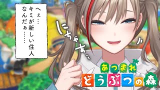 【どうぶつの森】新しい住人、そろそろ来るか！？【来栖夏芽/にじさんじ】