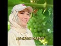 🍇Ada lebih 40 variti anggur di Mamsgarden