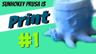 Sunhokey Prusa i3 3D Printer | First Prints