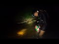 night spearfishing nyelam ikan malam ari