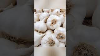 வெள்ளைப் பூண்டு மருத்துவம் //#garlic#maruthuvam#shorts#video#tips#