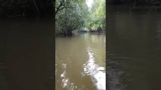 Tetaplah bahagia \u0026 nikmati alurnya #fishingventurer #love #fishing #mancing #viralvideo