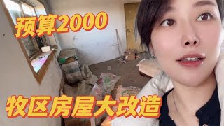 牧区生活条件好接上无线网，预算2000房间大改造，羊倌看羊更方便！【内蒙卡秋】