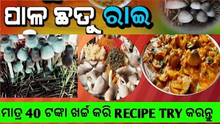 ଛତୁ ବନେଇବାର ଏକଦମ୍ ନୂଆଓଅଲଗା ଉପାୟ(With New Trick)Pala Chhatu Rai/Besara Recipe / mushroom curry / Odia