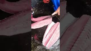 想必他一定常吃生魚片 Cutting for Sashimi 粉鳥林漁港 定置漁場