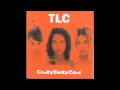 TLC - Waterfalls (Audio)