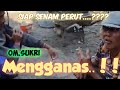 Keganasan #omsukri nguli bareng #Mamon