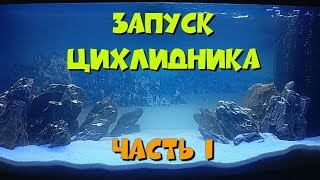 Запуск цихлидника. Часть 1