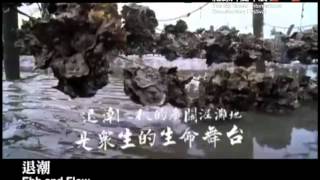 2012 台灣國際紀錄片雙年展 台灣映像、綠色浪潮《退潮 Ebb and Flow》