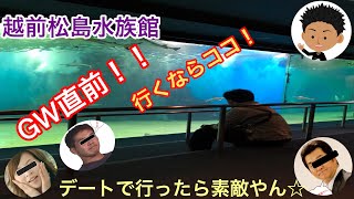 [GW直前]松島水族館がめっちゃ素敵やん☆