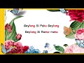 🔴 lagu geylang si paku geylang lyrics video