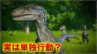 大人気の恐竜ヴェロキラプトルの生態とは？