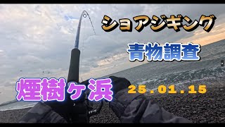 （ショアジギング・弓角）#38　鳥山が教えてくれた奇跡の一匹！！メジロ😄