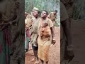 documentando en África vivir con los pigmeos baka