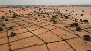 From Deserts to Green Oases | Great Green Wall | China's Triumph Over Sandstorms