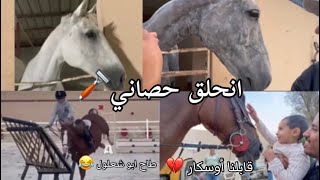 فلوق بطولة مليئة بالأحداث🐎