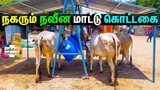 நகரும் நவீன மாட்டு கொட்டகை, இளம் சாப்ட்வேர் உழவன் கண்டுபிடிப்பு, FOLDABLE COW SHED, #movablecowshed