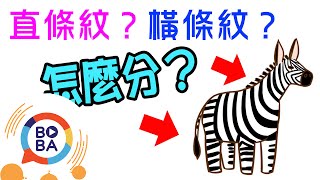 斑馬是橫條紋還是直條紋!動物學家都說是○○!!│冷知識│扶拉格透可