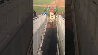 Jenn's race at Isotopes park