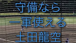 ２年目ドラゴンズ土田龍空守備は一軍で使える