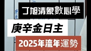 八字-庚辛金2025流年運勢