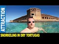 Snorkeling around the largest brick masonry structure in America | Jarek in Dry Tortugas Florida USA